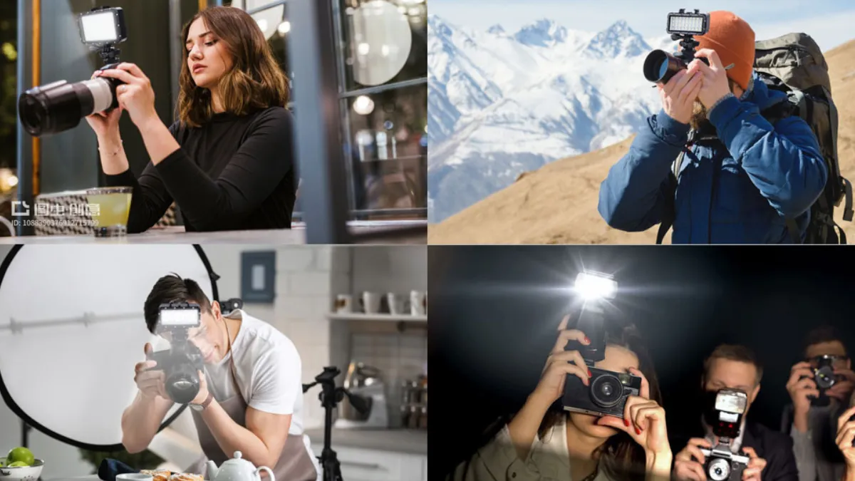 Best affordable camera for wildlife photography