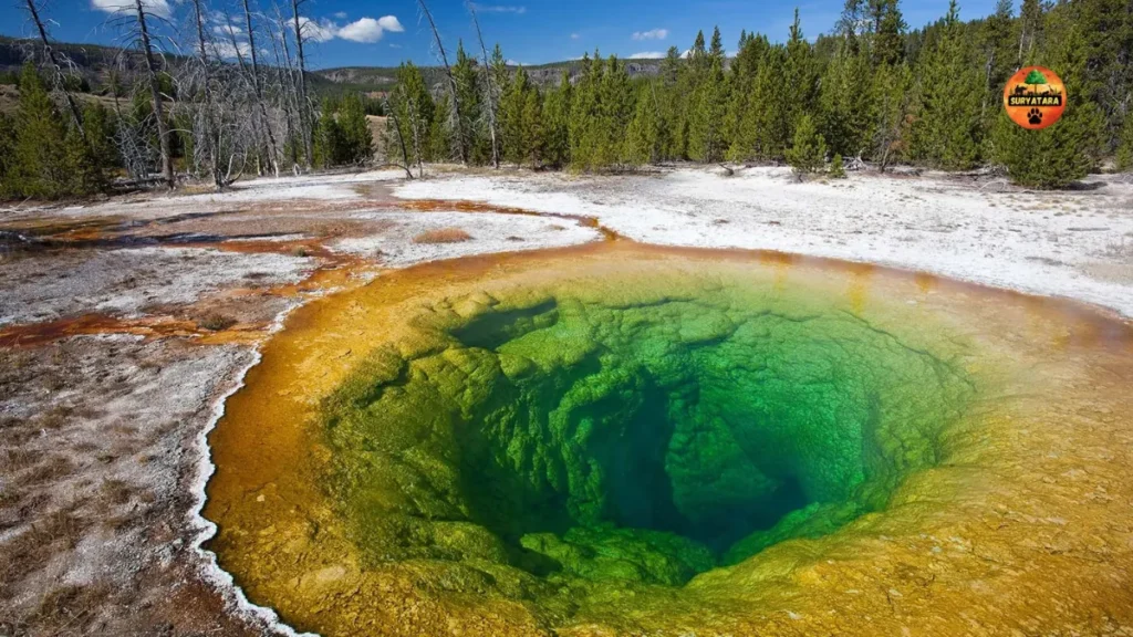 Yellowstone National Park Tickets