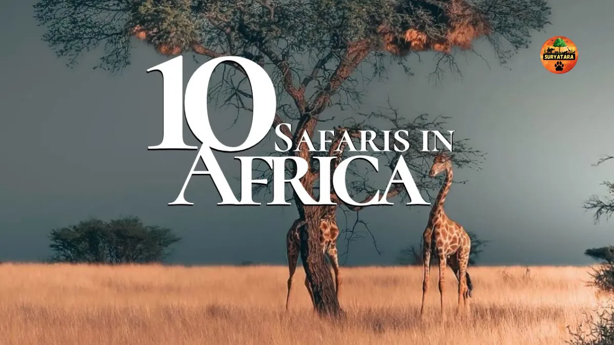 African Safari Packages