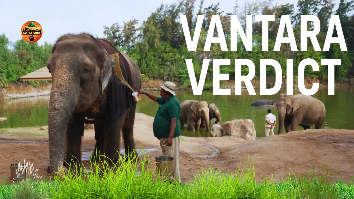 Vantara Verdict