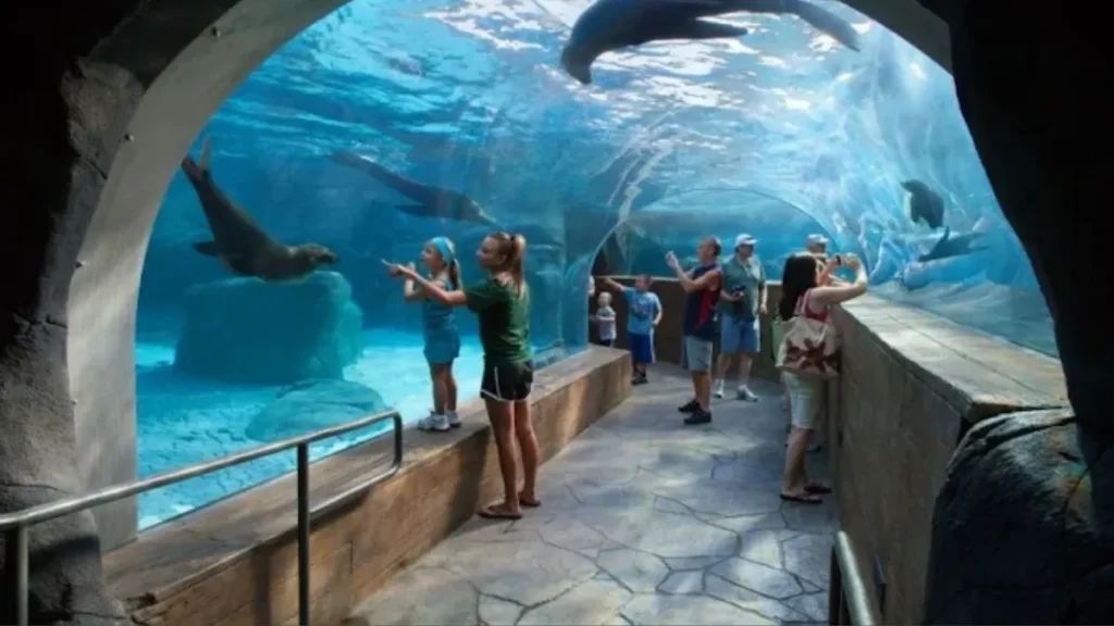 St. Louis Zoo