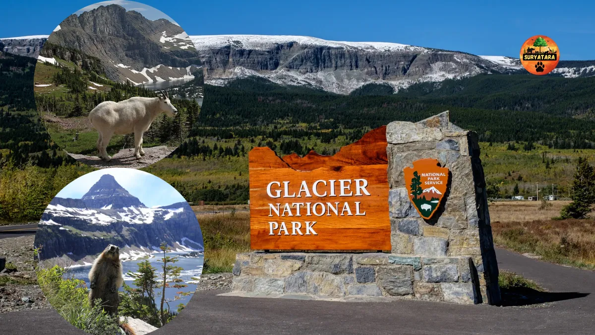 Glacier National Park (U.S.)