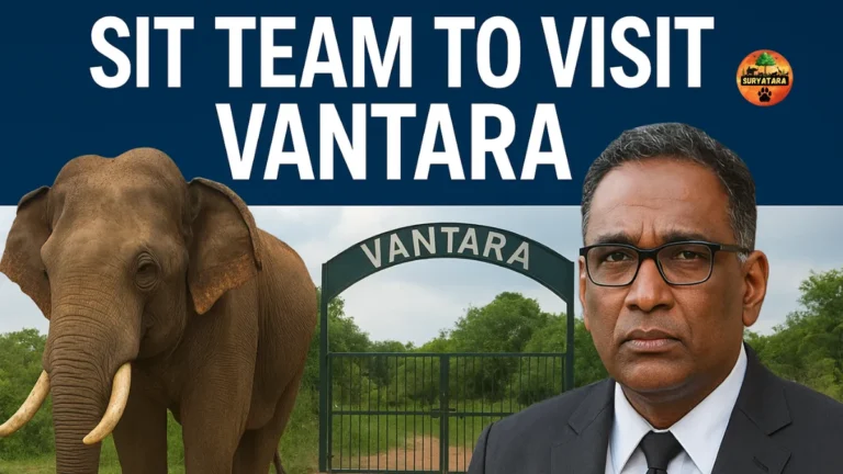SIT Team to Visit Vantara