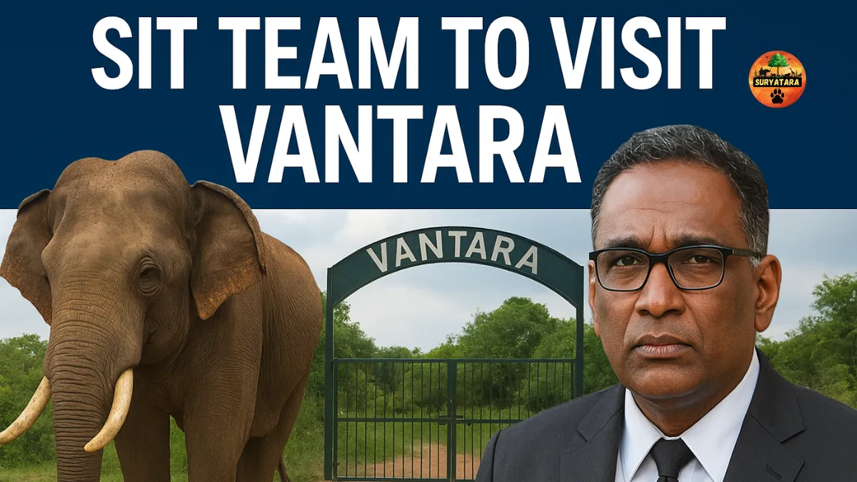 SIT Team to Visit Vantara