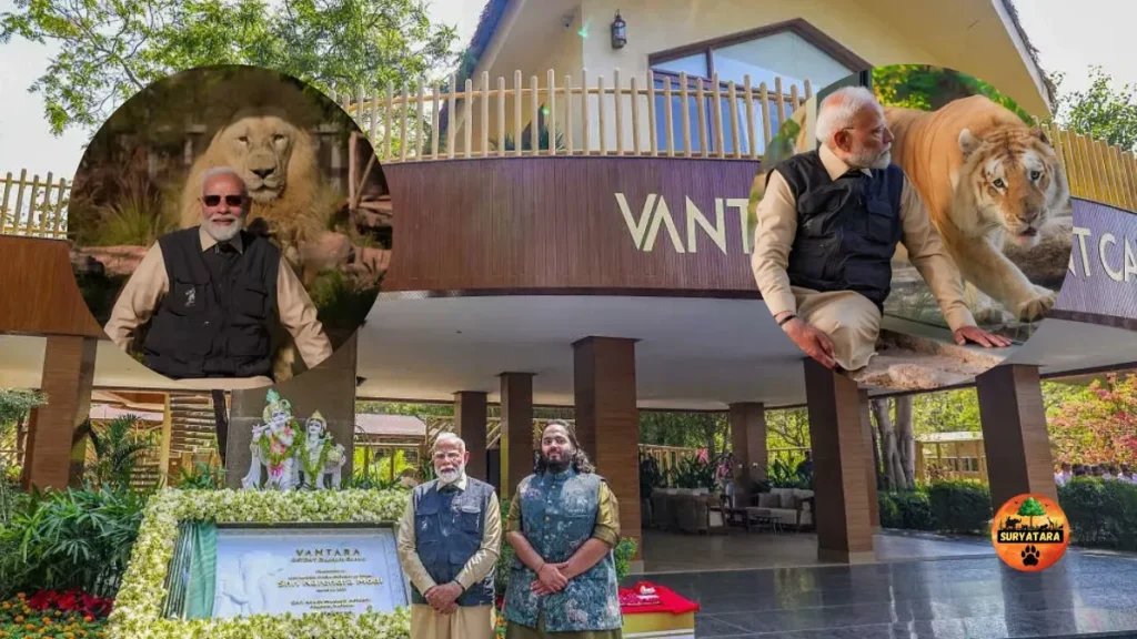 Supreme Court Vantara