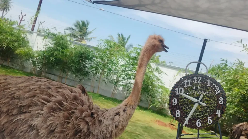 Trichy Birds Park
