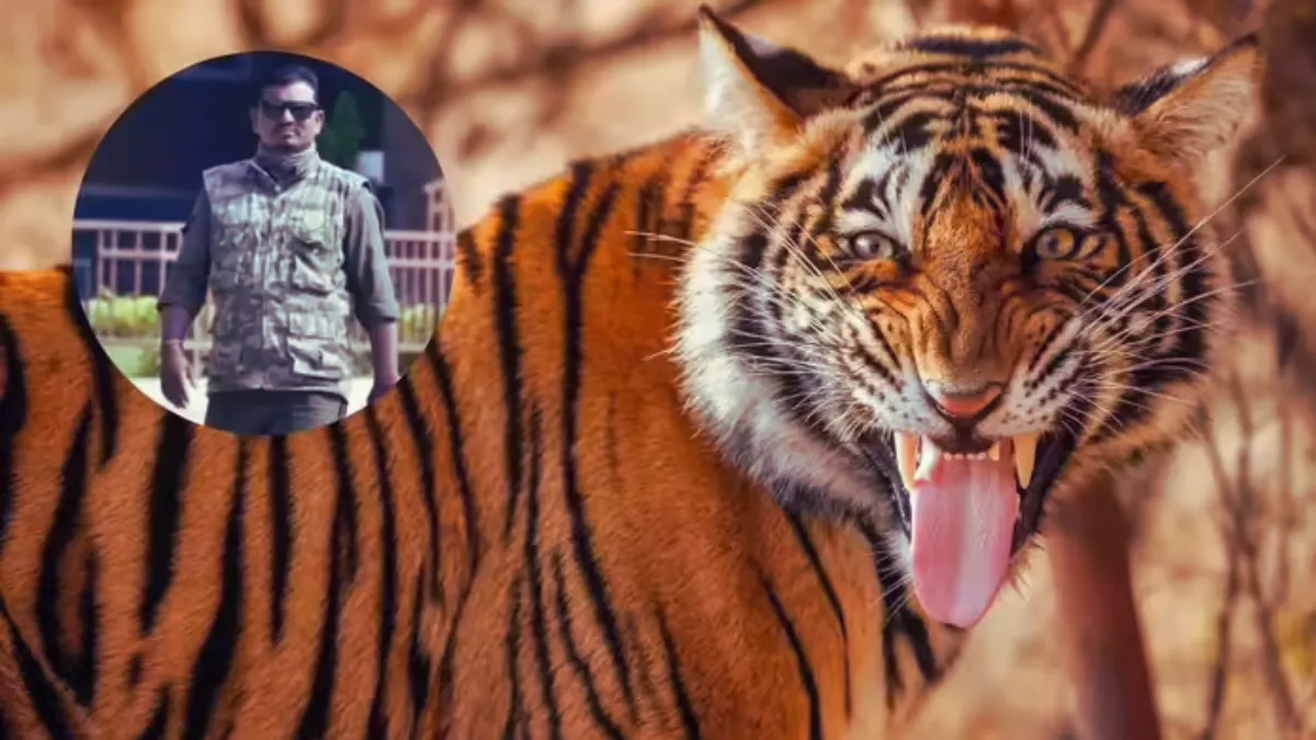 Tadoba Tiger Reserve