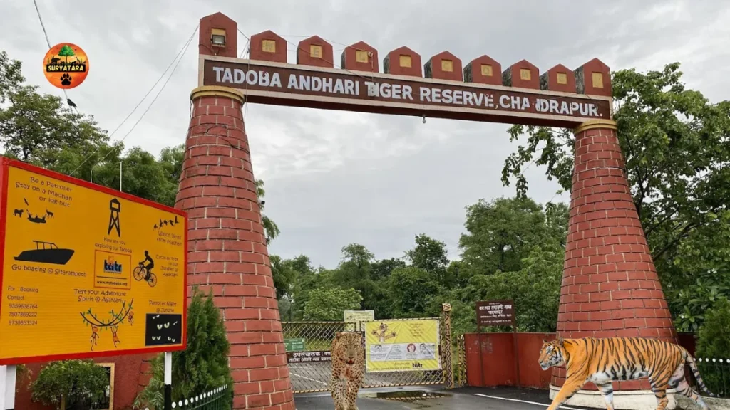 Tadoba National Park