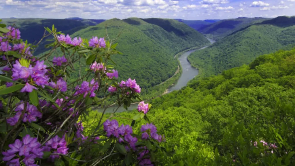 New River Gorge National Park