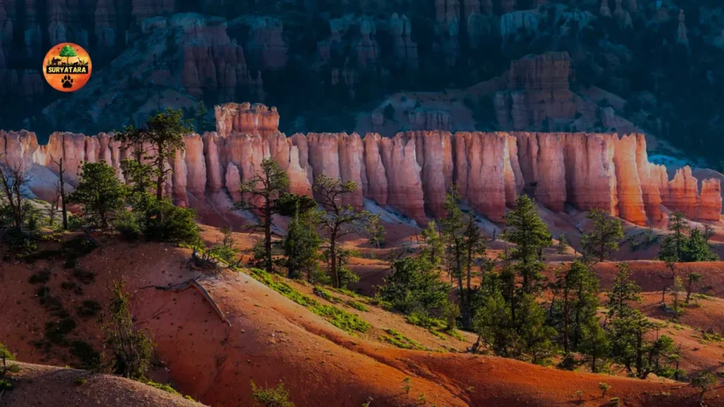  Canyon National Park