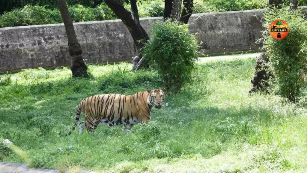 Nehru Zoological Park Hyderabad