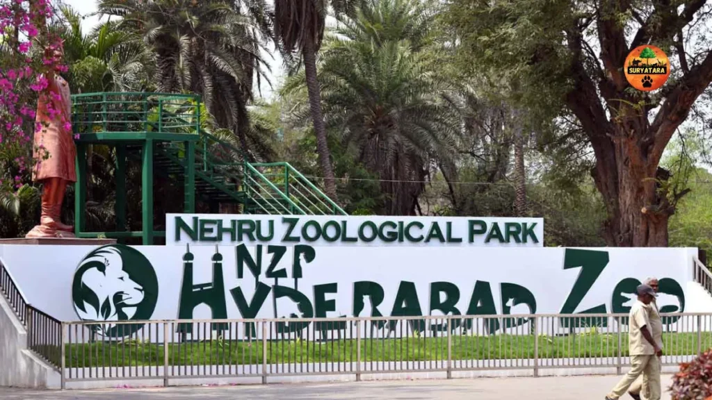 Nehru Zoological Park Hyderabad