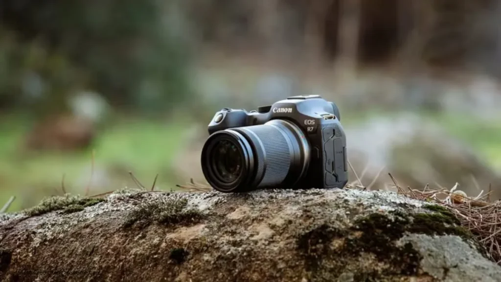 Canon Camera Insurance