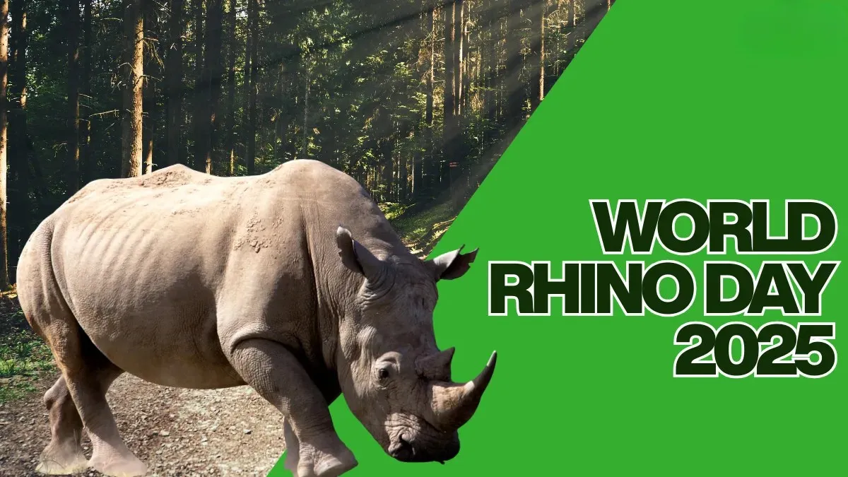 What is World Rhino Day