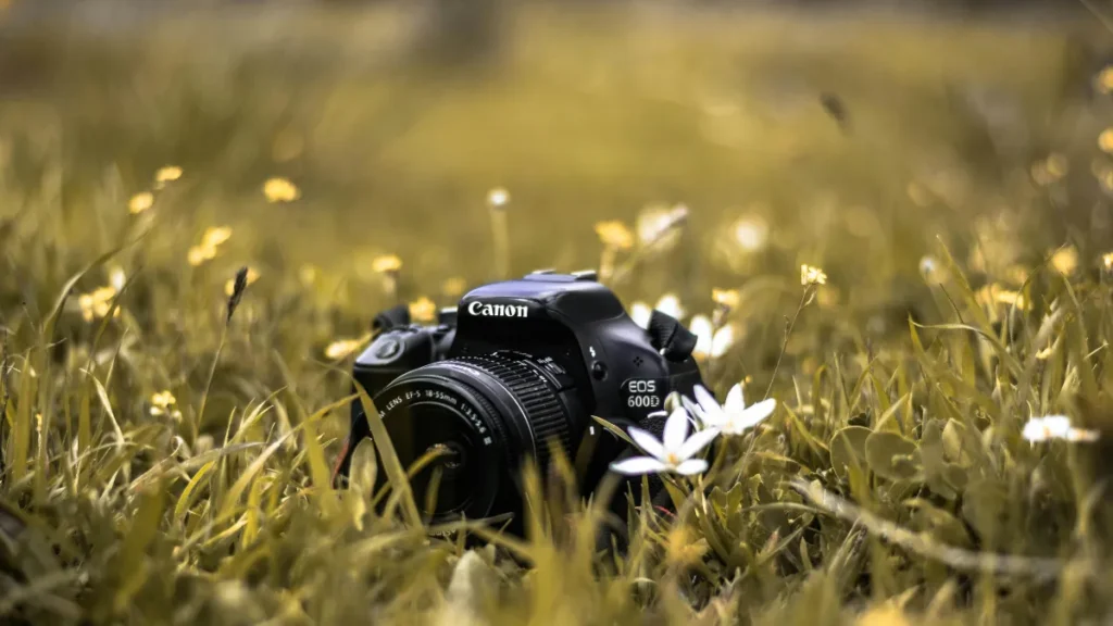 Canon Camera Insurance