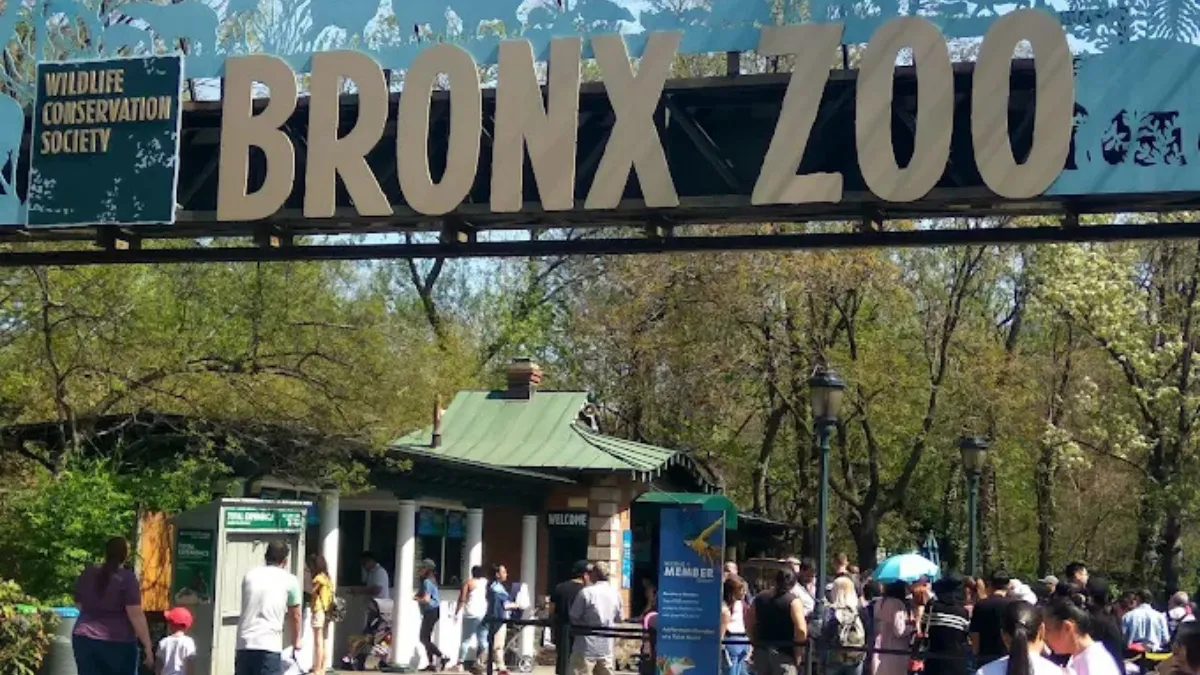 Bronx Zoo