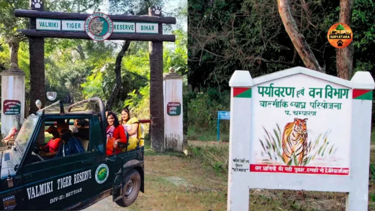 Valmiki Tiger Reserve Online Booking