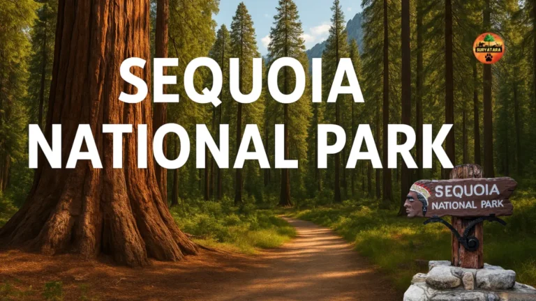 Sequoia National Park