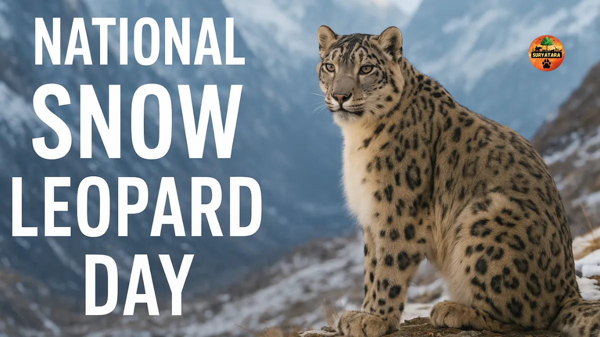 National Snow Leopard Day