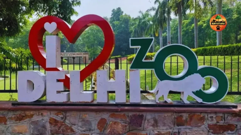 Delhi Zoo