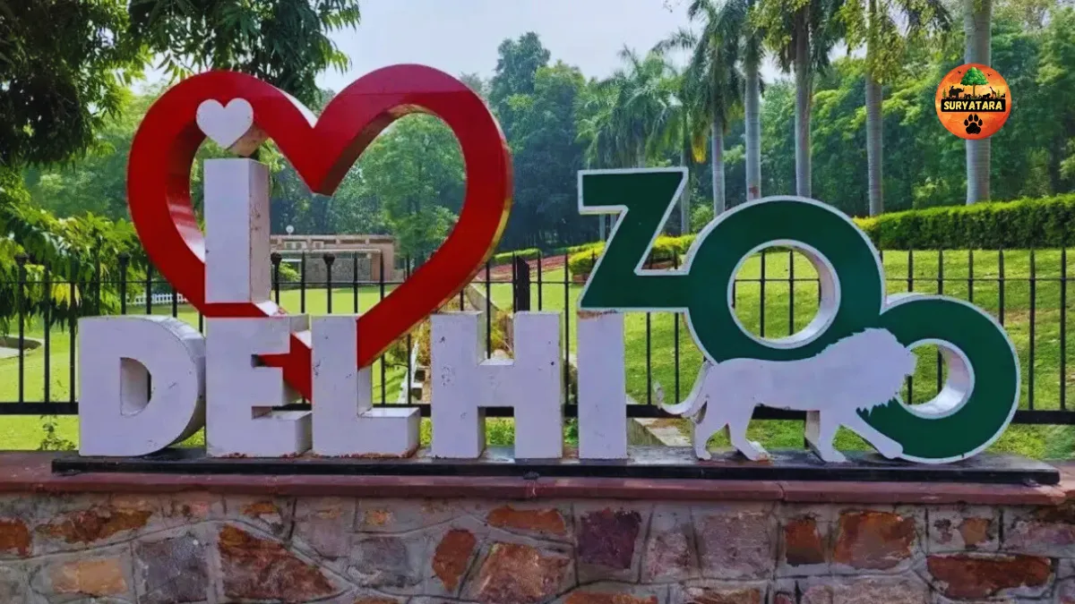 Delhi Zoo