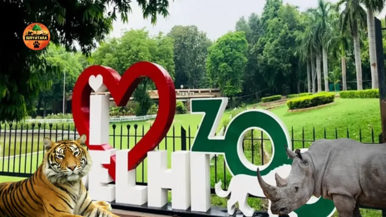 Delhi Zoo