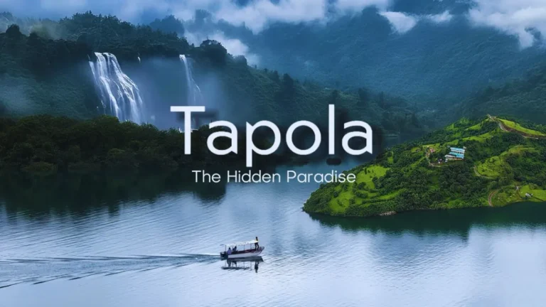 Tapola