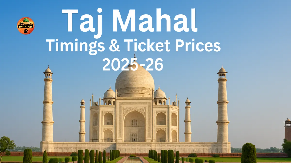 Taj Mahal Timings and Ticket Prices