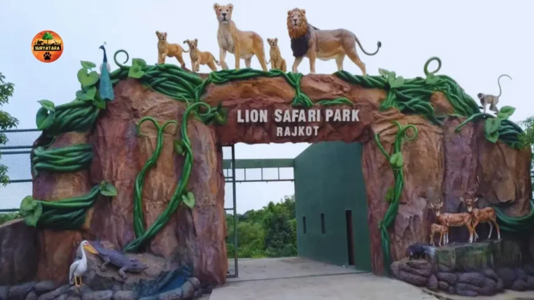 Lion Safari Park Rajkot