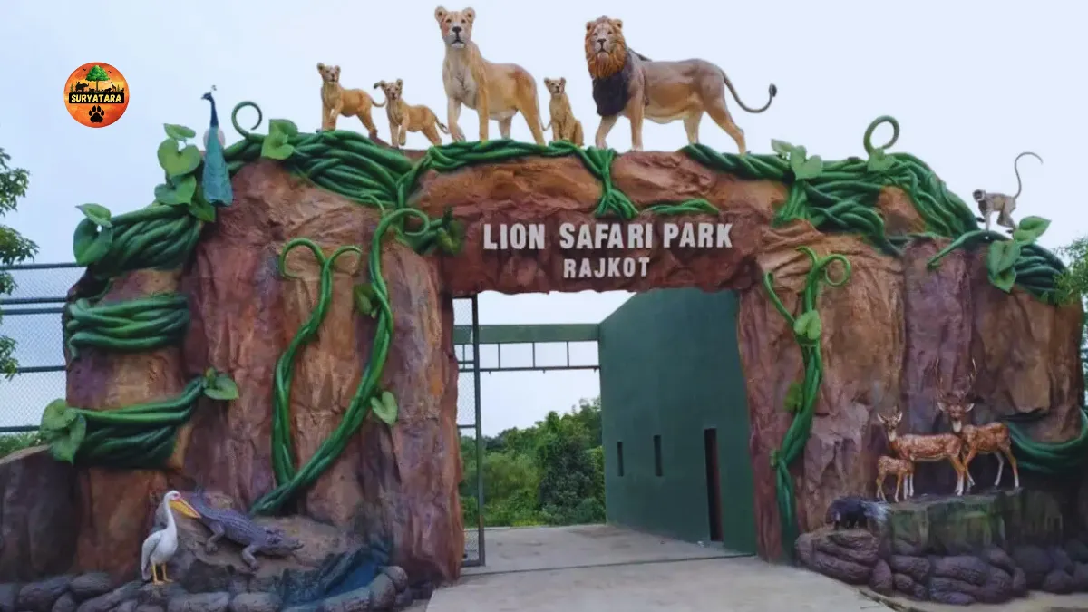 Lion Safari Park Rajkot