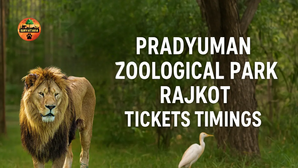 Pradyuman Zoological Park Tickets Timings