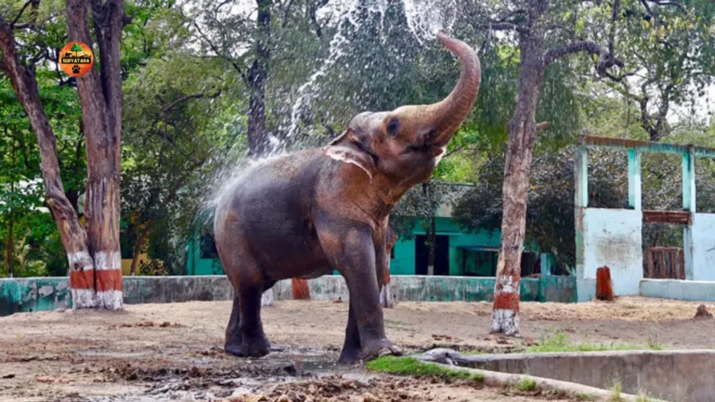 Indore Zoo