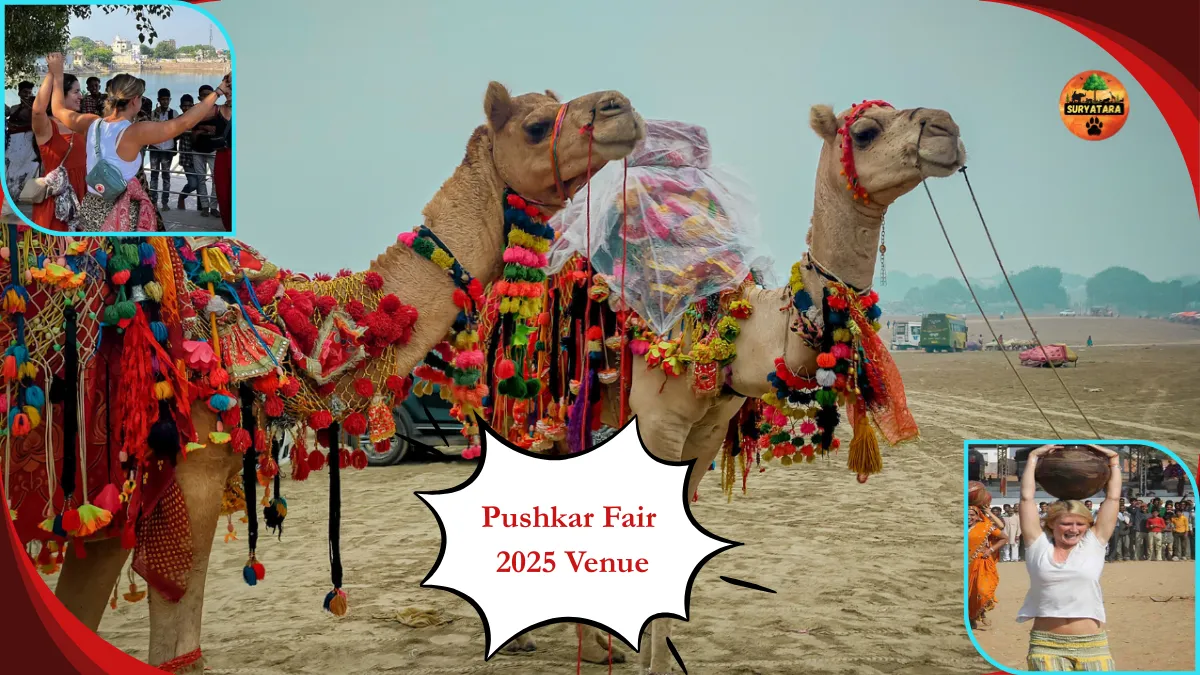 Pushkar Fair 2025 Venue