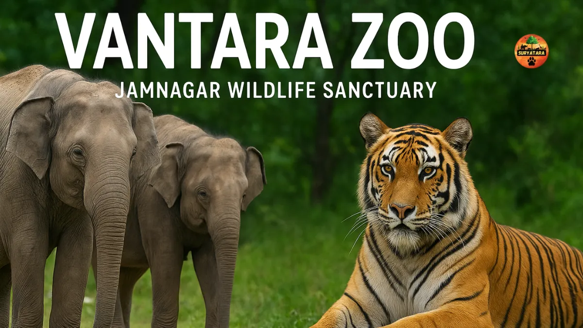Vantara Zoo