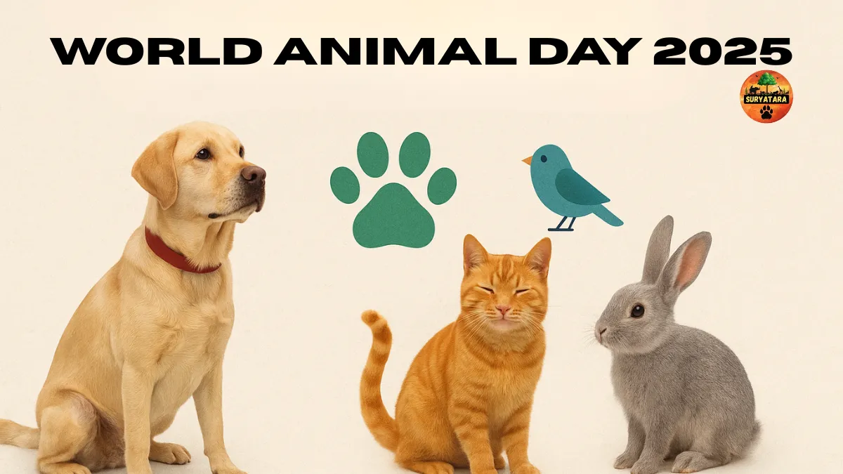 World Animal Day