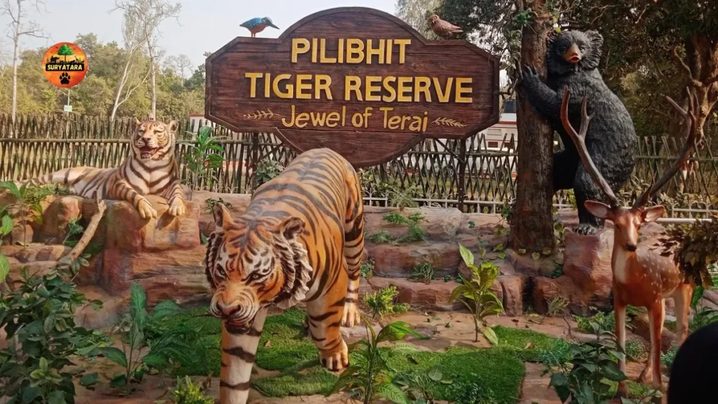 Pilibhit Tiger Reserve