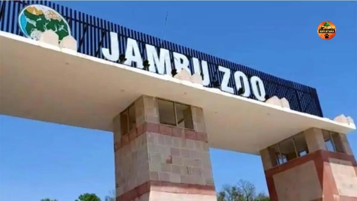Jambu Zoo Ticket Price