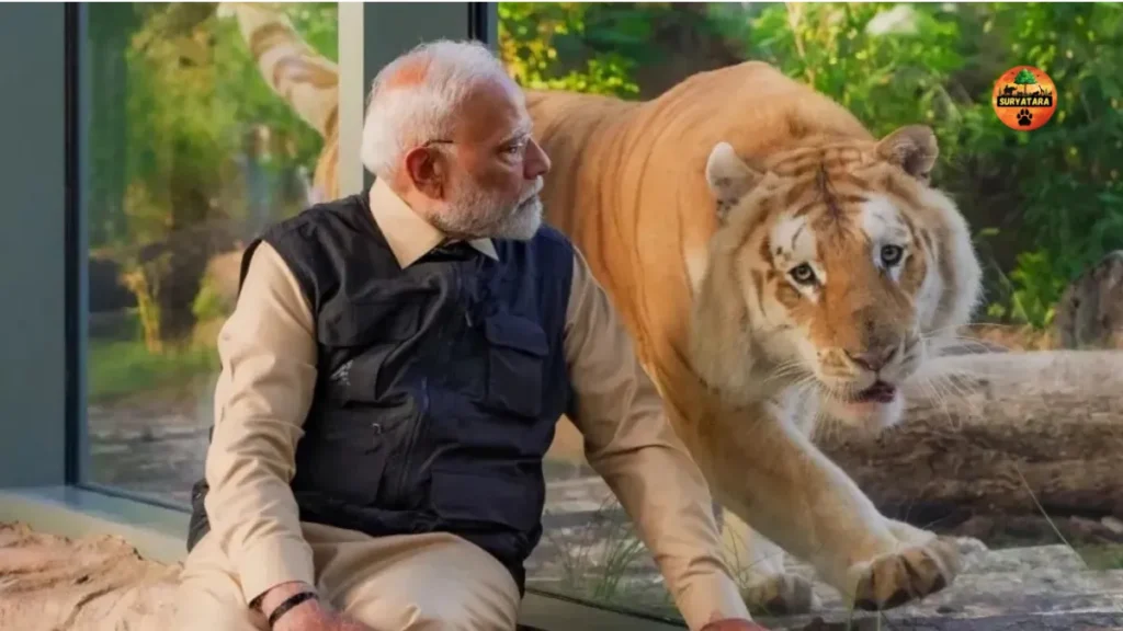 Vantara Zoo Total Area