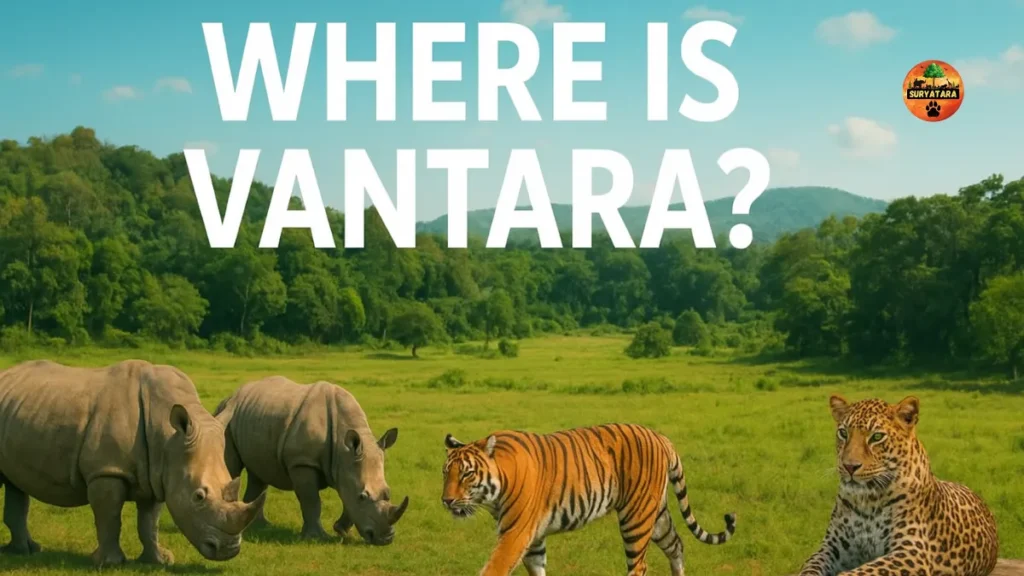 Where Is Vantara