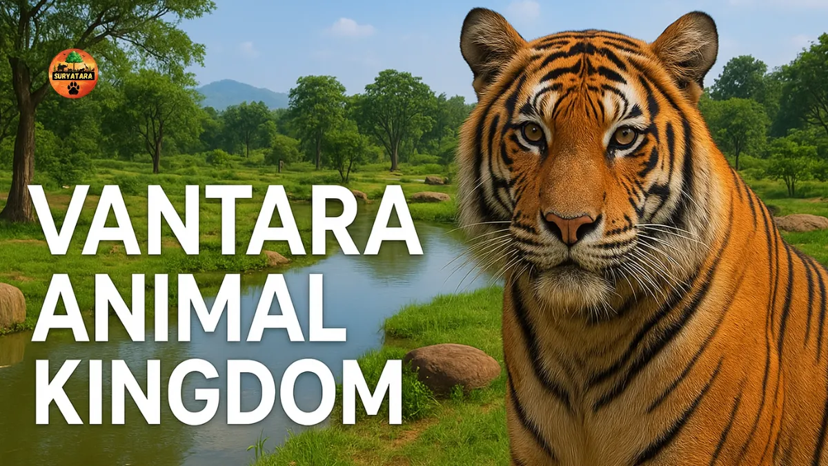 Vantara Animal Kingdom