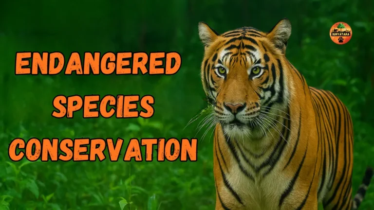 Endangered Species Conservation