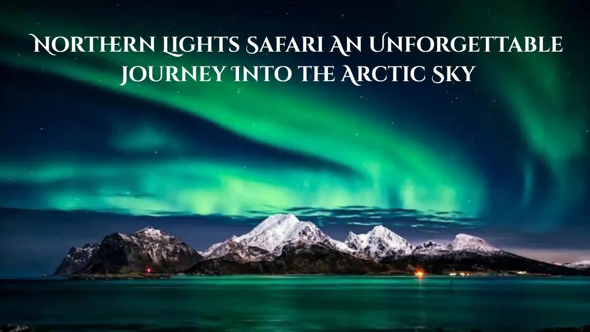 Northern Lights Safari
