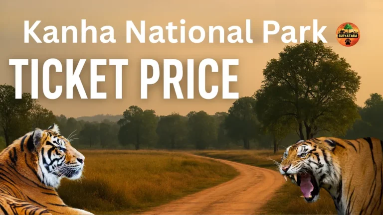 Kanha National Park Ticket Price