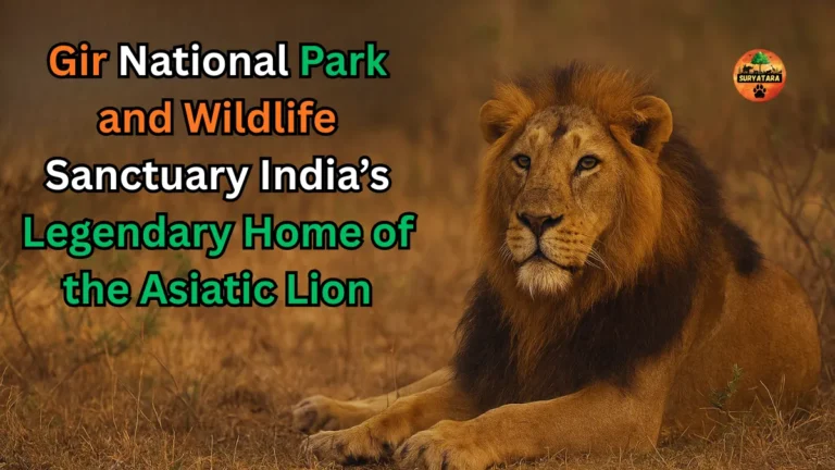 Gir National Park and Wildlife Sanctuary