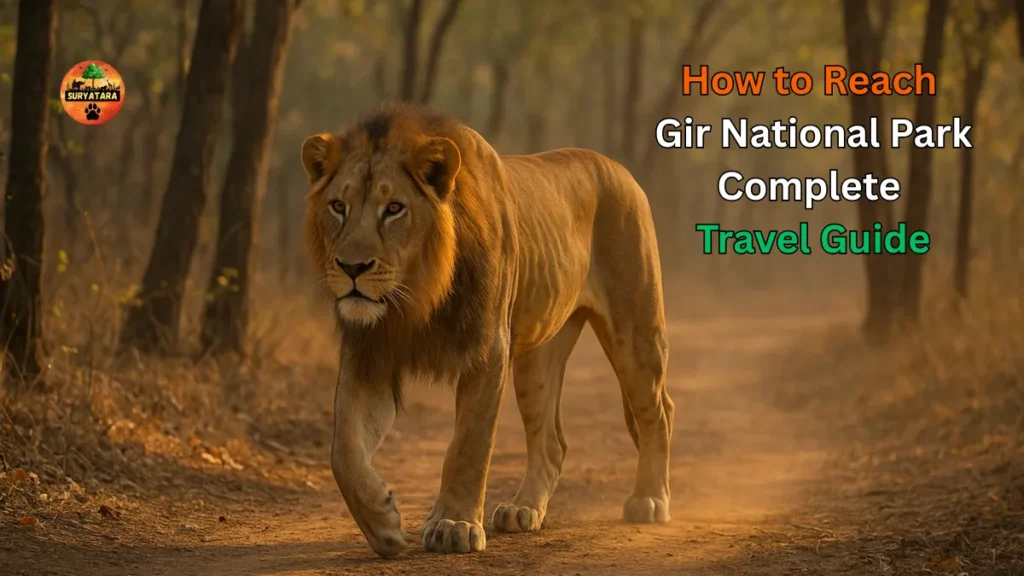 How to Reach Gir National Park