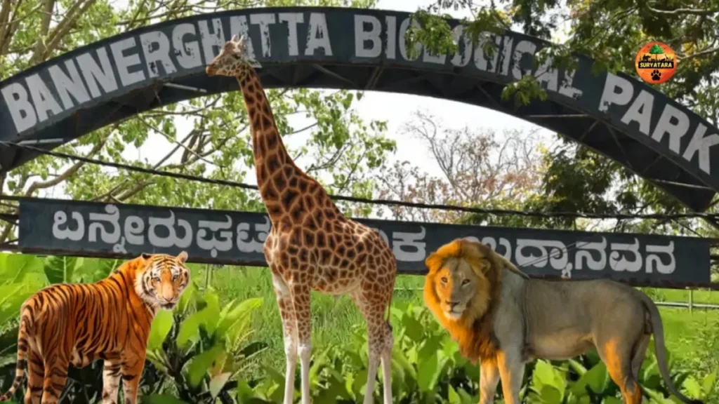 Bannerghatta National Park