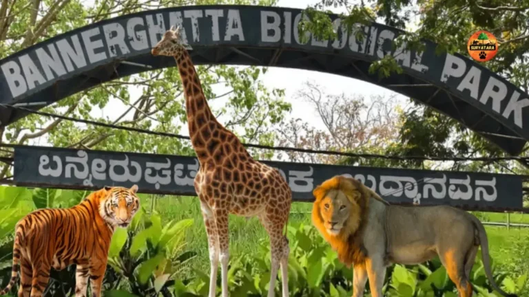 Bannerghatta National Park