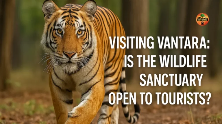 Is Vantara Open for Tourist