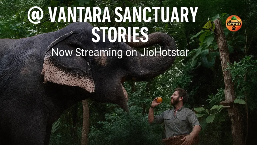 Vantara Sanctuary Stories