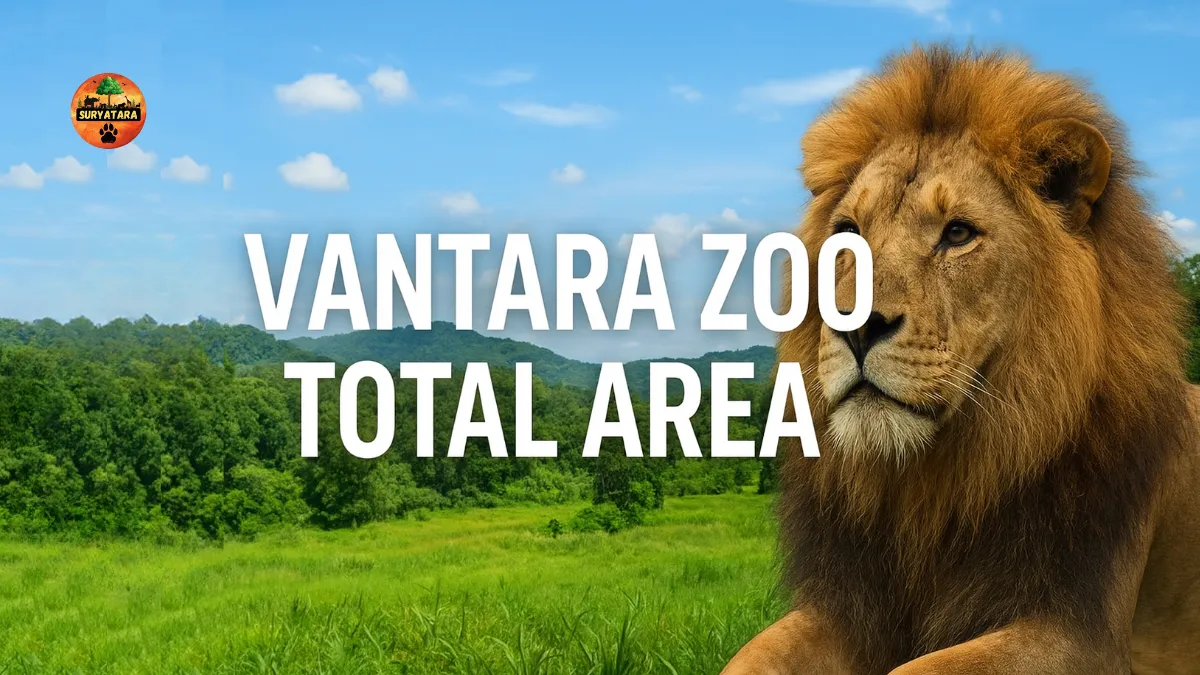 Vantara Zoo Total Area